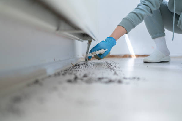 Pest Control for Restaurants in Flowood, MS